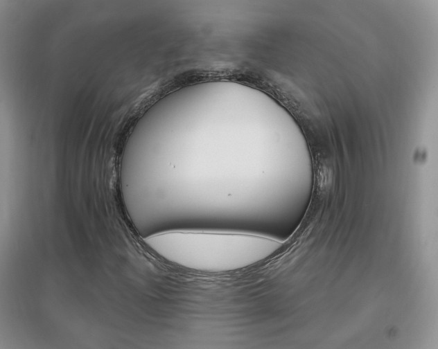X0000096971204200802081244