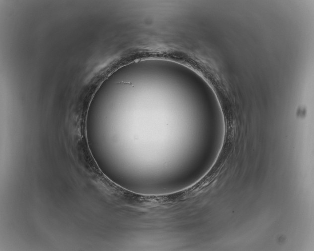X0000096971205200802081244