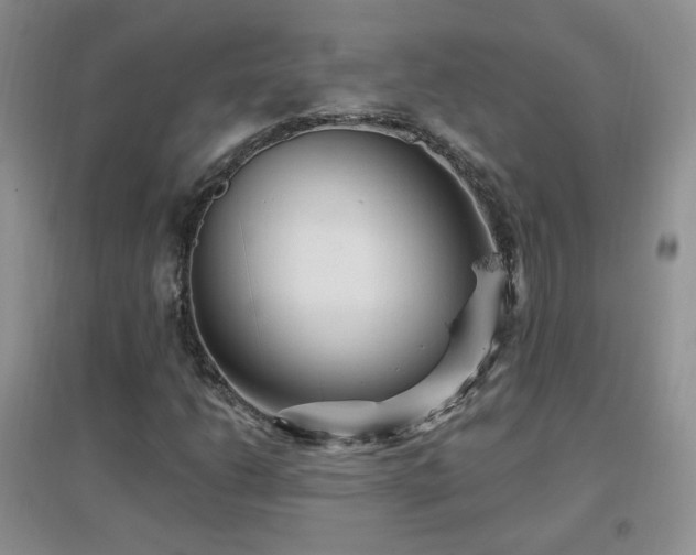 X0000096971206200802081244