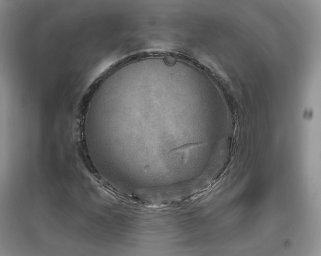 X0000096971208200802081244