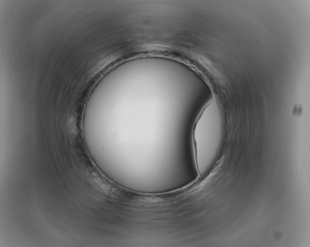 X0000096971209200802081244