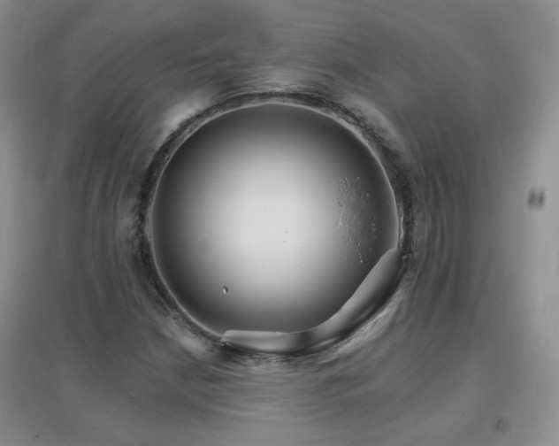 X0000096971210200802081244