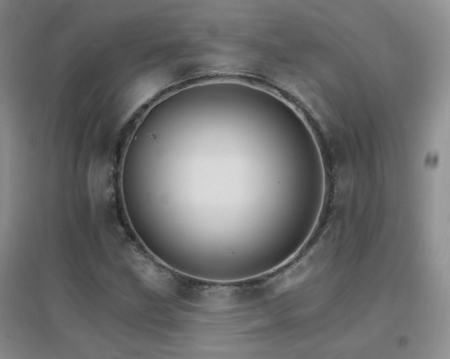 X0000096971211200802081244