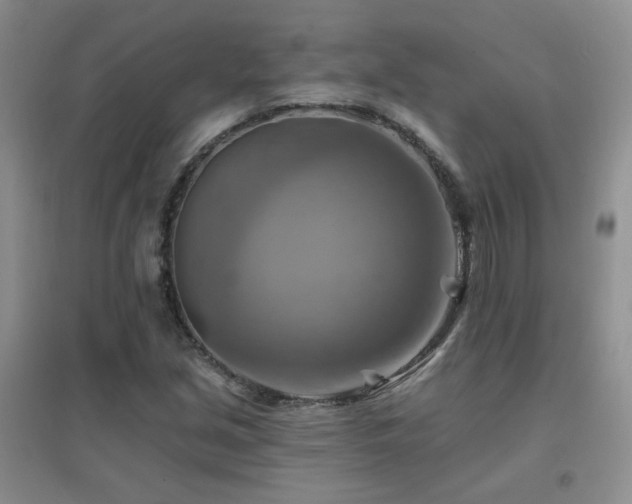 X0000096971213200802081244