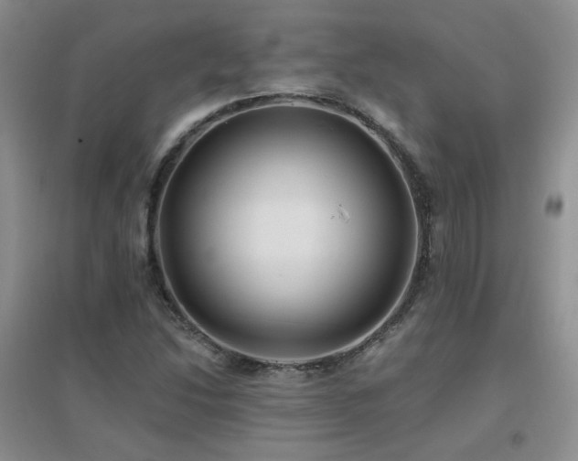 X0000096971214200802081244