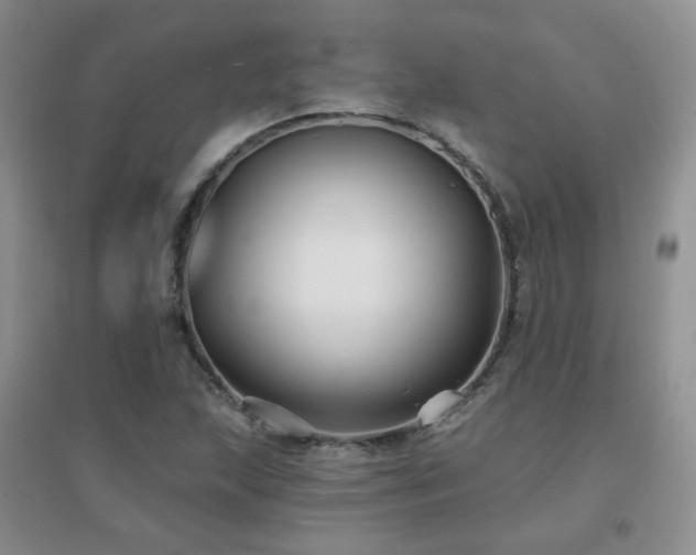 X0000096971215200802081244