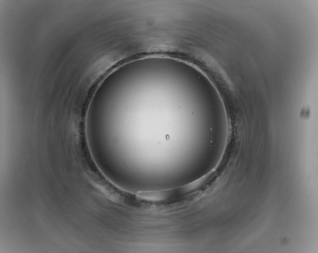 X0000096971217200802081244