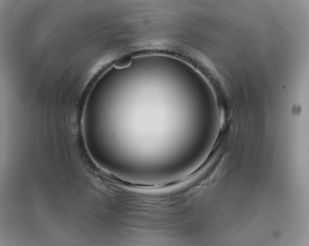 X0000096971218200802081244