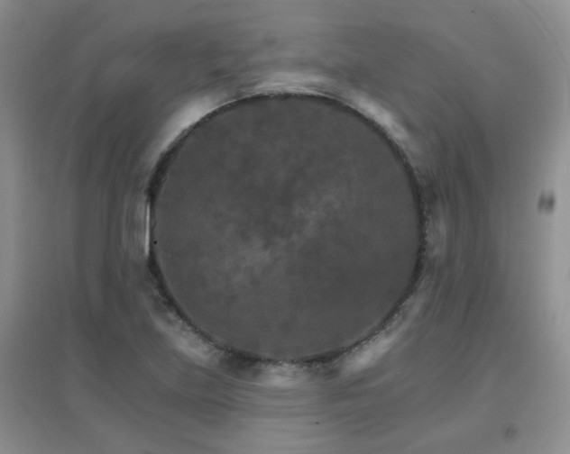 X0000096971219200802081244