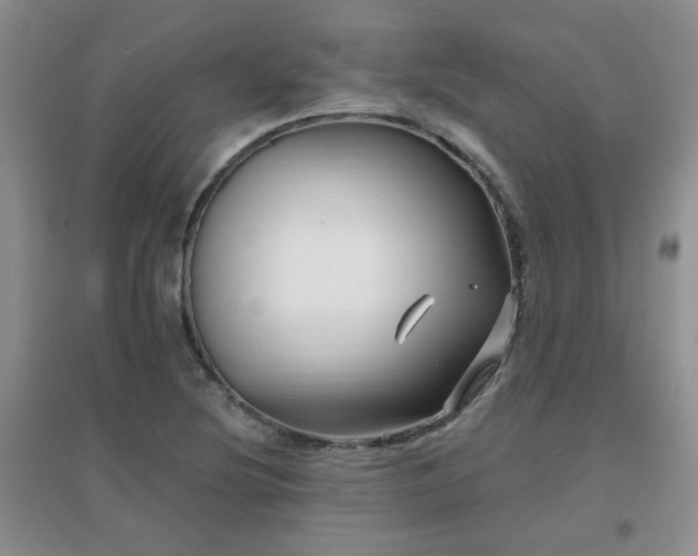 X0000096971220200802081244