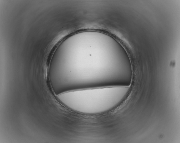 X0000096971221200802081244