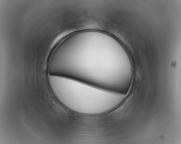 X0000096971222200802081245