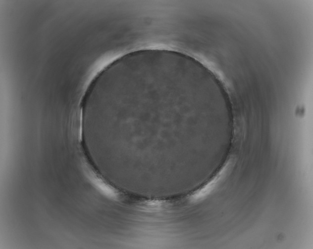 X0000096971223200802081245