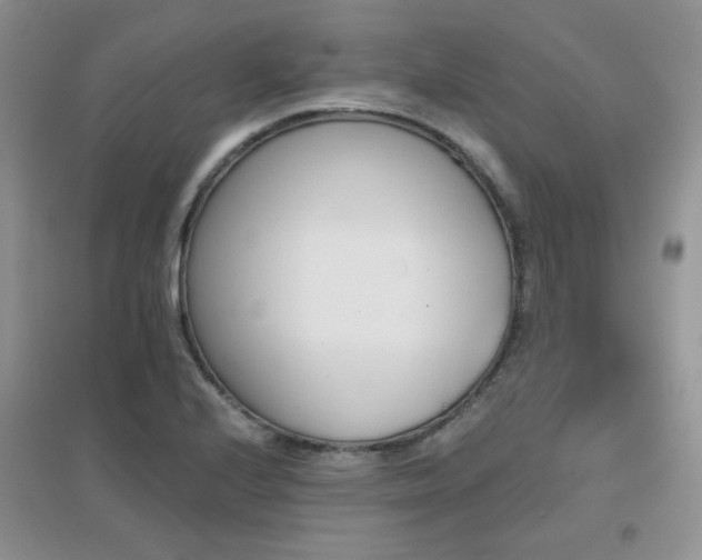 X0000096971224200802081245