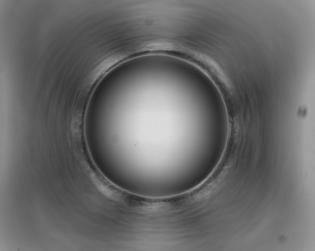 X0000096971225200802081245