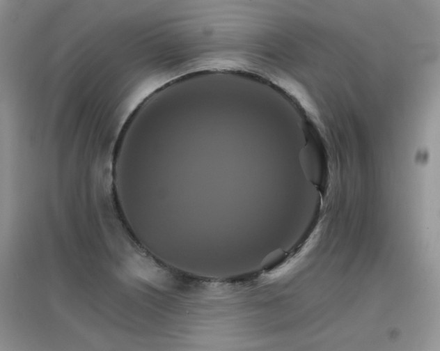 X0000096971226200802081245