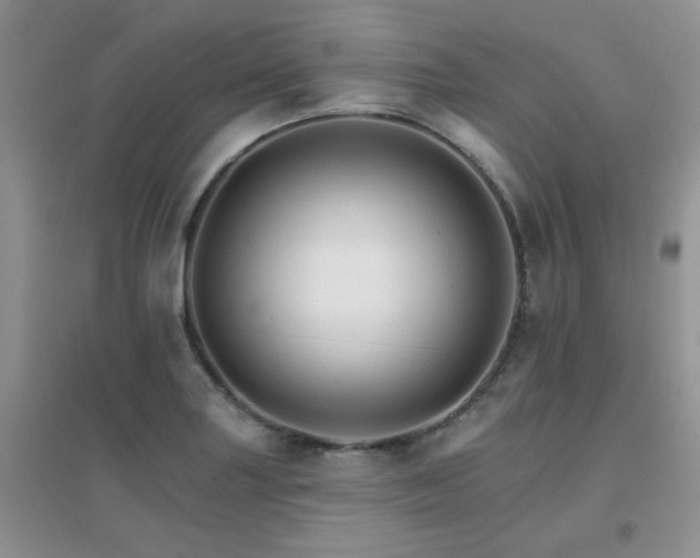 X0000096971227200802081245