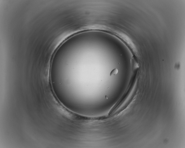 X0000096971228200802081245