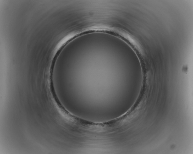 X0000096971229200802081245