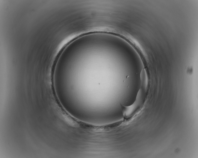 X0000096971230200802081245
