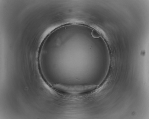 X0000096971231200802081245
