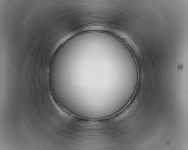 X0000096971233200802081245