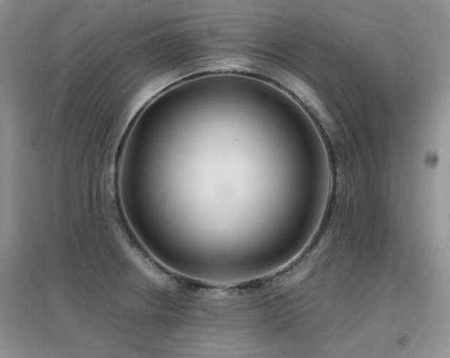 X0000096971234200802081245
