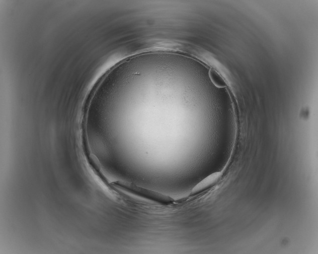 X0000096971235200802081245