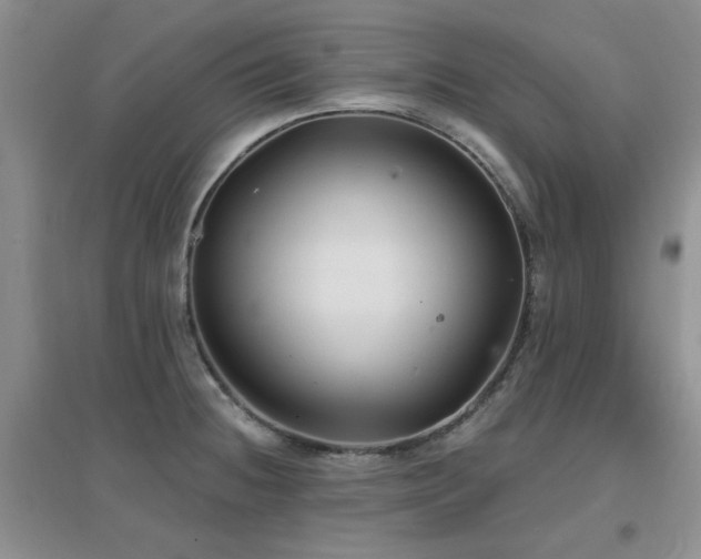 X0000096971236200802081245