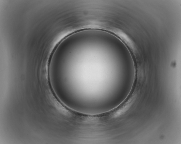 X0000096971238200802081245