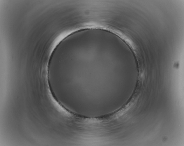 X0000096971239200802081245