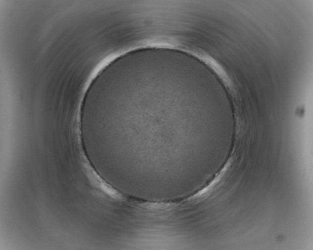 X0000096971240200802081245