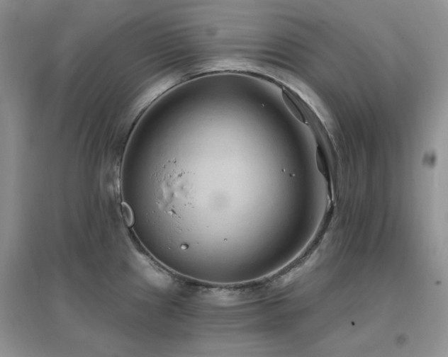 X0000096971241200802081245