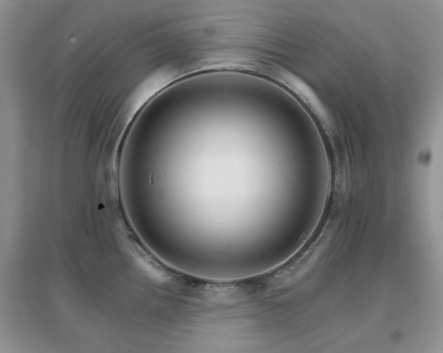 X0000096971242200802081245