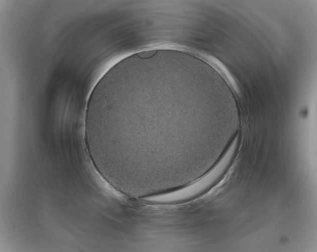 X0000096971244200802081245