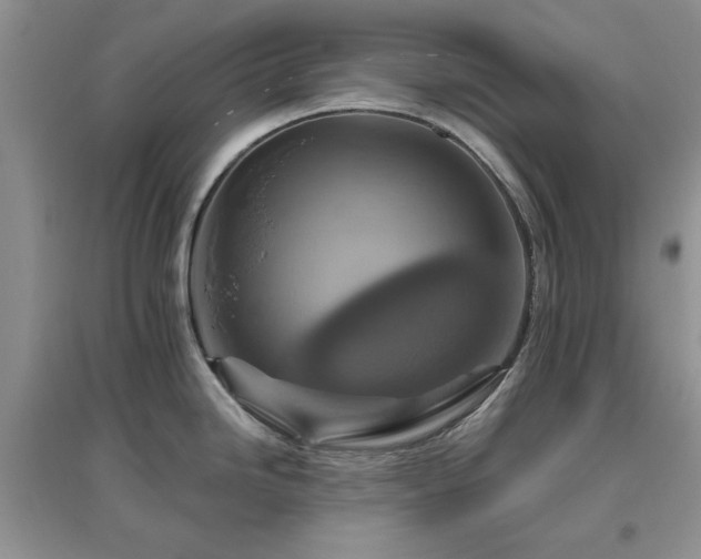 X0000096971246200802081245