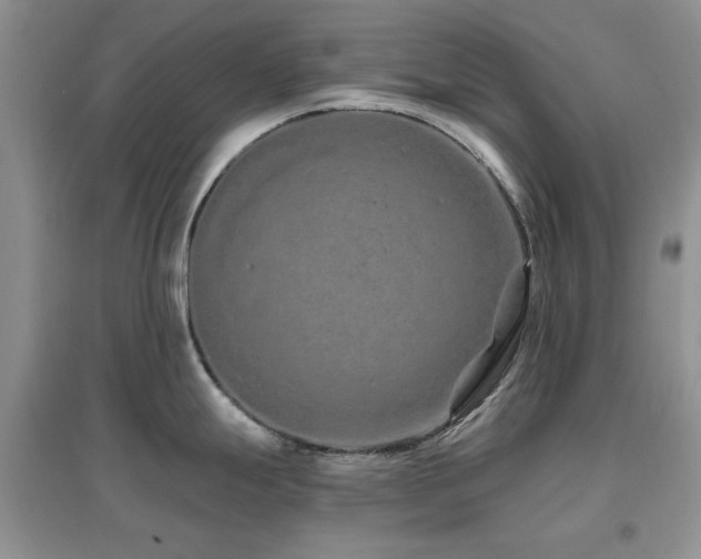 X0000096971247200802081245