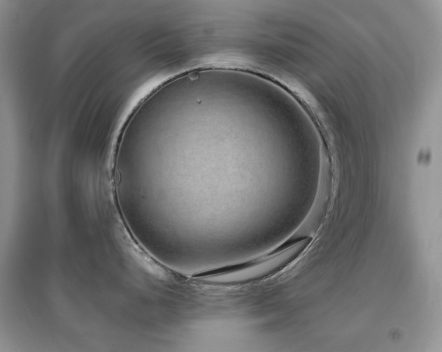 X0000096971248200802081245