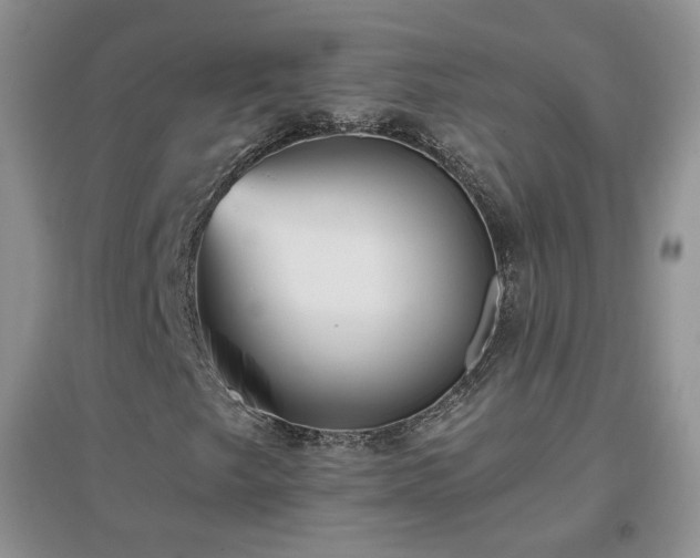 X0000096971249200802081244
