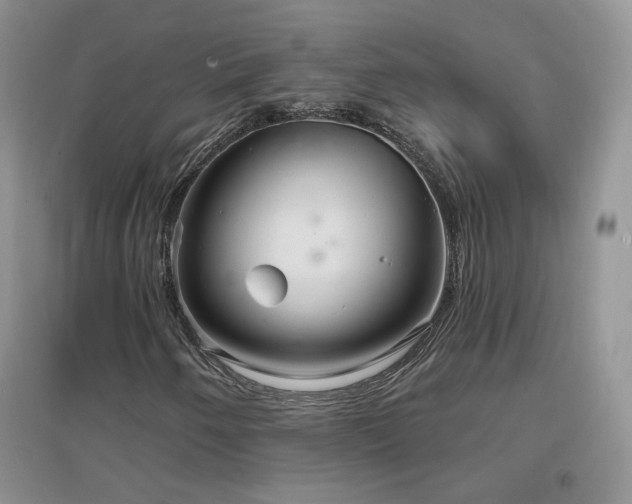 X0000096971250200802081244