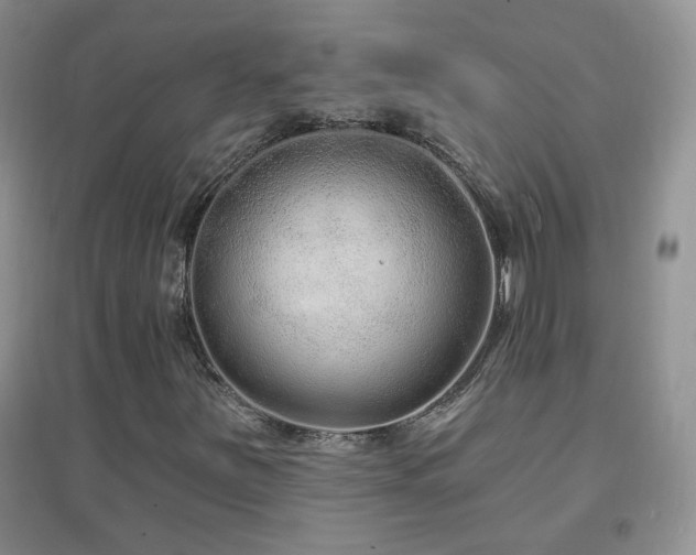 X0000096971251200802081244