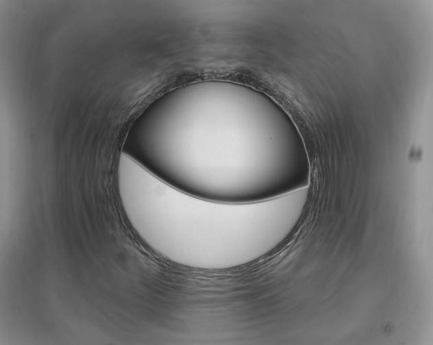 X0000096971252200802081244