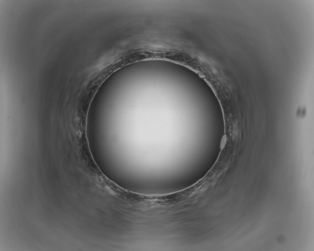 X0000096971253200802081244