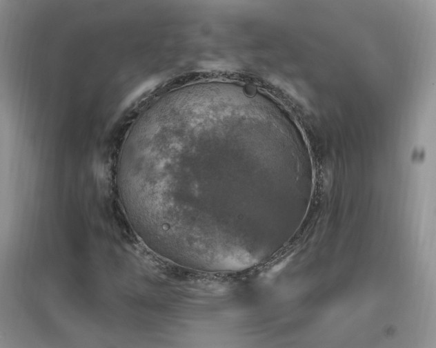 X0000096971254200802081244