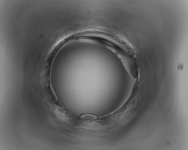 X0000096971256200802081244
