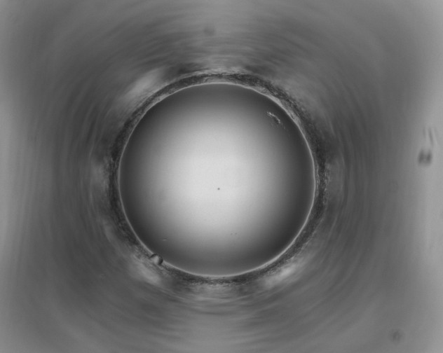 X0000096971257200802081244