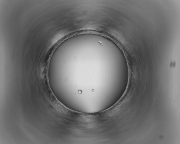 X0000096971258200802081244