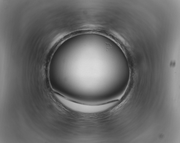 X0000096971259200802081244