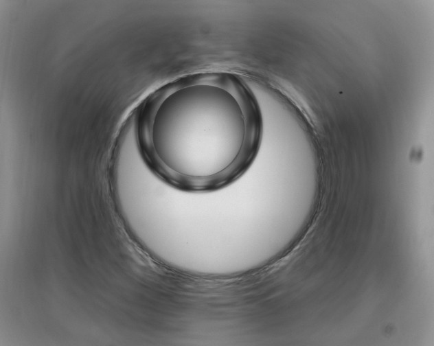 X0000096971260200802081244