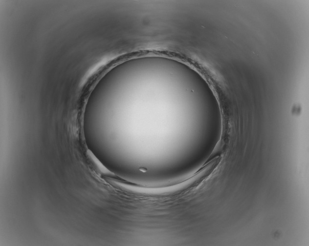 X0000096971262200802081244